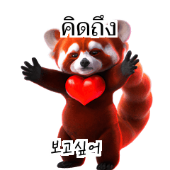 Red Panda Thai Korean TH KR wVt