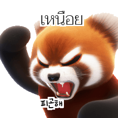 Red Panda Thai Korean TH KR xpK