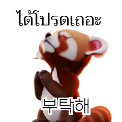 Red Panda Thai Korean TH KR _ov