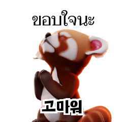 Red Panda Thai Korean TH KR jVr
