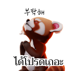 Red Panda Thai Korean TH KR g26