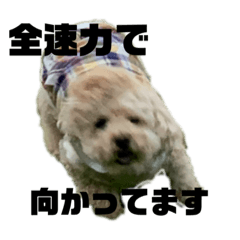 Emily_20221126103329