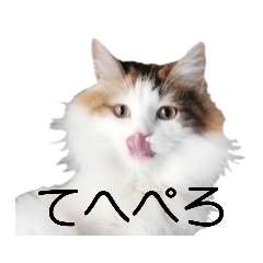 arisa_20221126164628