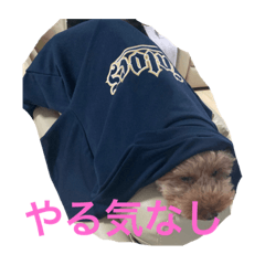 mt.fuzi_20221127095338