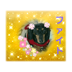 megumi_20221126180158