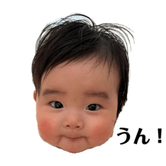 aoi_20221126171643