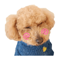 ArisA_20221127084618