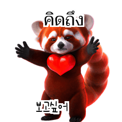Red Panda Thai Korean TH KR w0Z