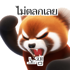 Red Panda Thai Korean TH KR NRJ