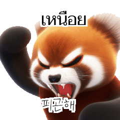 Red Panda Thai Korean TH KR YKe