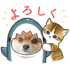 sakurako_20221126202453