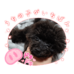 Arisa_20221127014619