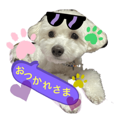 yuka_20221126220650