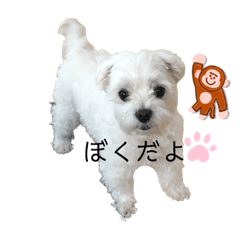 chizu._20221127104910
