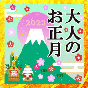 POP UP Adult New Year.7