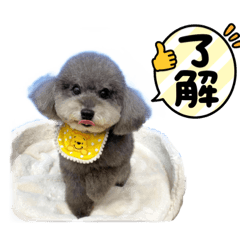 Chen yu hua_20221127012800 - LINE スタンプ | LINE STORE