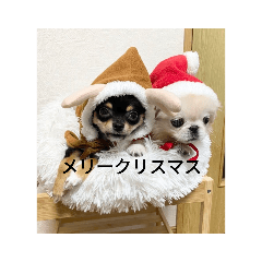 omochi_20221127110554