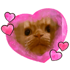 Blackjack_20221127164314