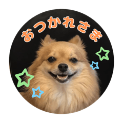 Misa_20221128092925