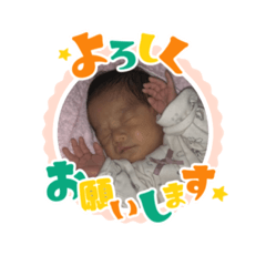 hikari_20221128064120