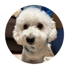 yukari_20221127195650