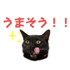 kimamani54_20221127205125