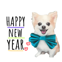 63ringo_20221127215417