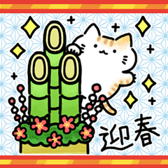 New Year simple happy calico cat