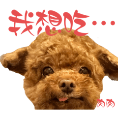 襪子貴賓賣襪子