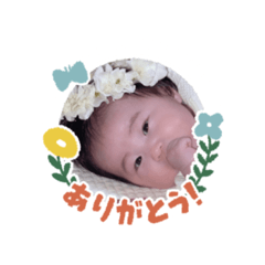 hana_159753