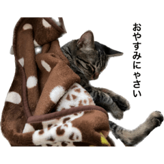 rina_20221127213800