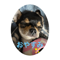 rina_20221127234256