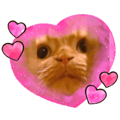 Blackjack_20221128113304