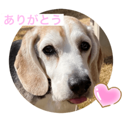 AOI_20221128113828