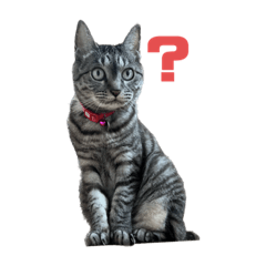 Arisa_20221128125209