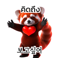 Thai Korean TH KR 9i6