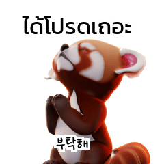 Thai Korean TH KR R_1