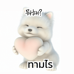 Thai Korean TH KR Samoyed 2m3