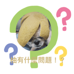 喵紐