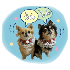 shiho_20221128150606