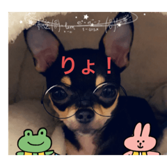 rina_20221128162637