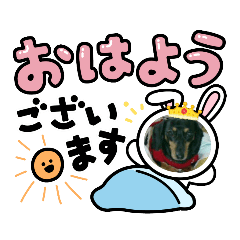 megumi_20221128194858