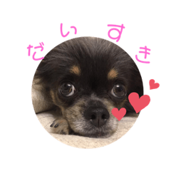 Hana_20221128232818