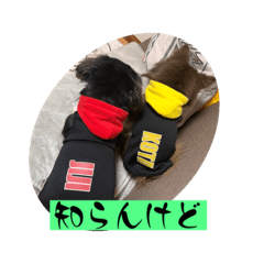 HIKARI_20221129102142