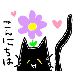 Kuro the black cat.
