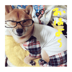 Aoi_20221129124353