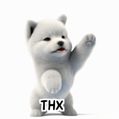 Samoyed KR EN JP TH CN TW gYA