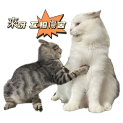 咘咘的夥伴們1.0