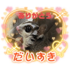 yuka_20221129152422