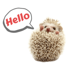 HARINANA_20221129141832